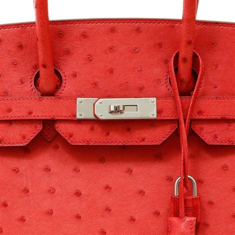 Hermès Bougainvillea Ostrich 35cm Birkin Bag with Palladium